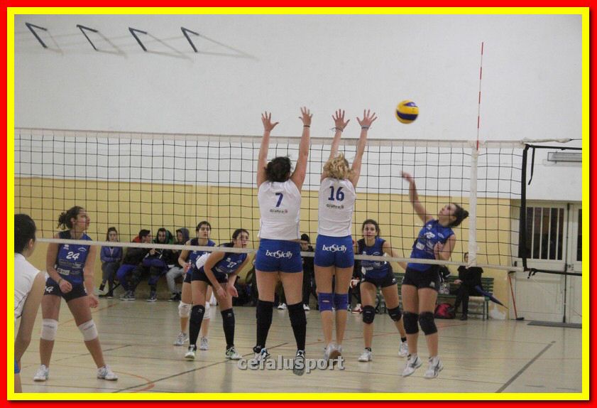 140305 Primula 101_tn.jpg